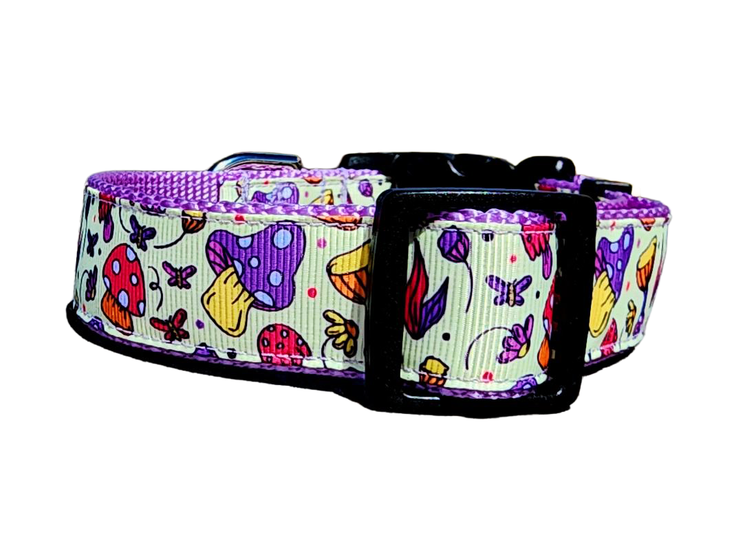 1" Purple Mushroom Dog Collar or Leash