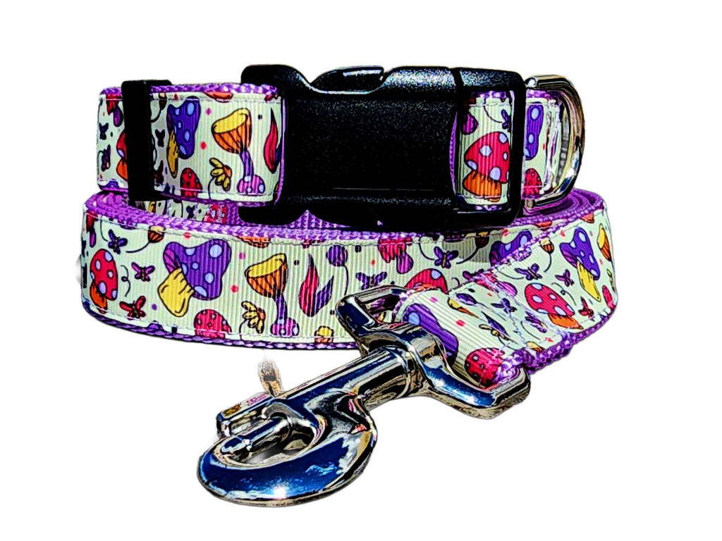 1" Purple Mushroom Dog Collar or Leash