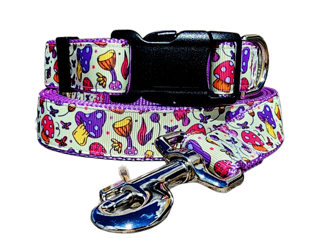 1" Purple Mushroom Dog Collar or Leash