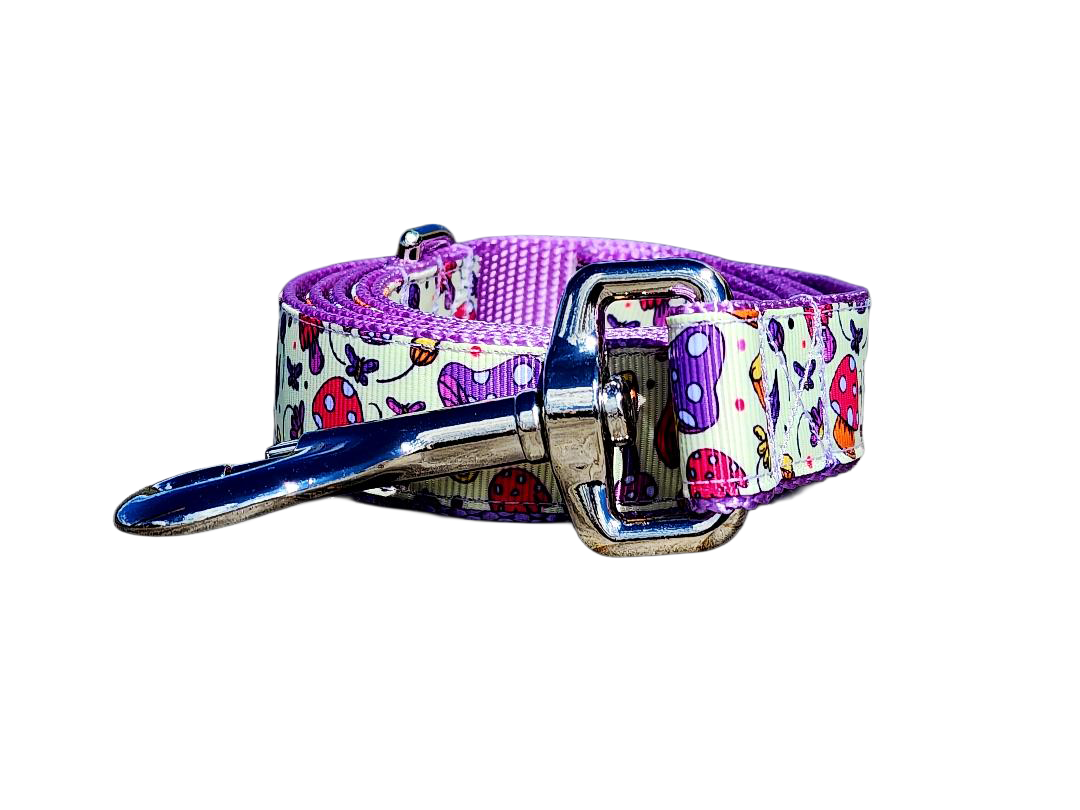 1" Purple Mushroom Dog Collar or Leash