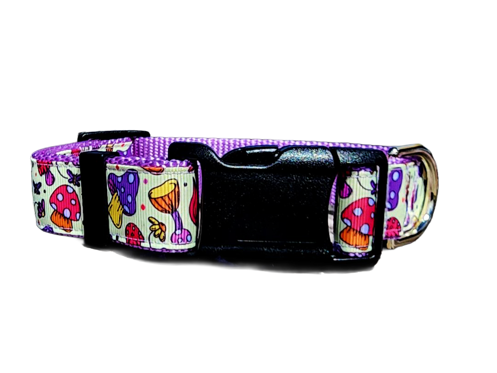 1" Purple Mushroom Dog Collar or Leash