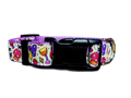 1" Purple Mushroom Dog Collar or Leash