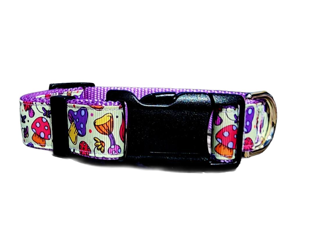1" Purple Mushroom Dog Collar or Leash