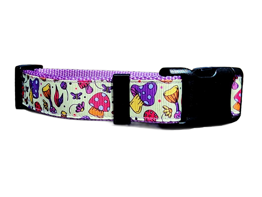 1" Purple Mushroom Dog Collar or Leash