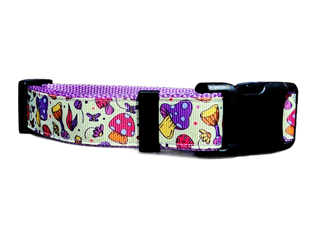 1" Purple Mushroom Dog Collar or Leash