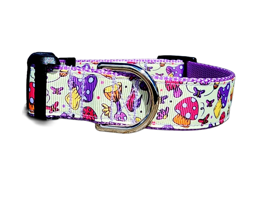 1" Purple Mushroom Dog Collar or Leash