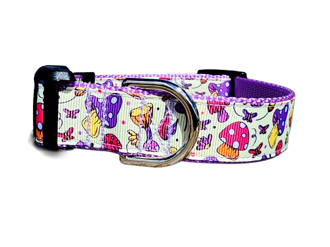1" Purple Mushroom Dog Collar or Leash