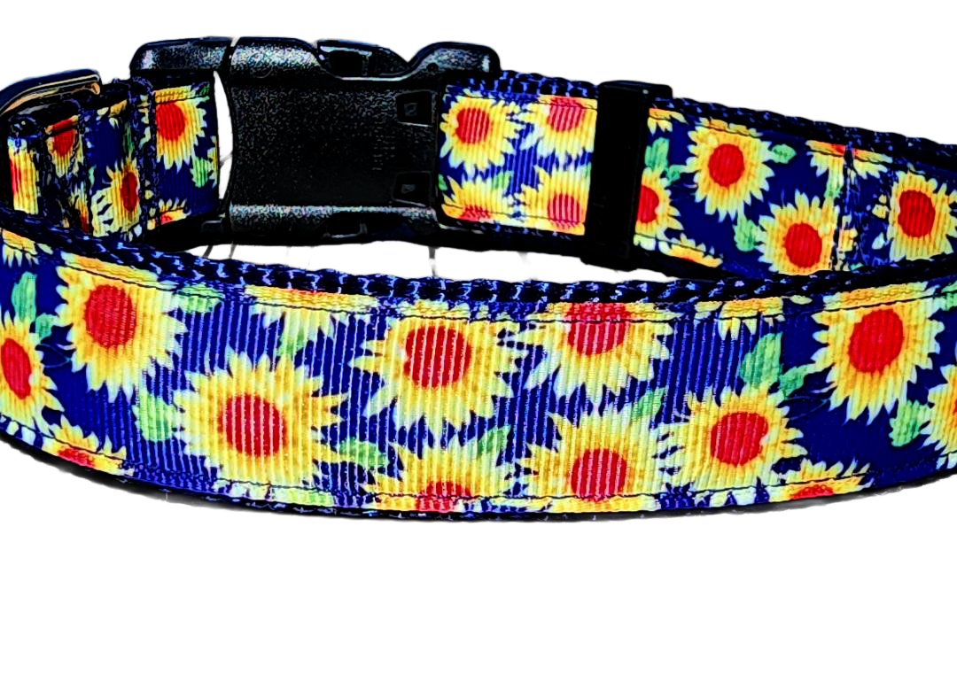 1" Sunflower Dog Collar or Leash