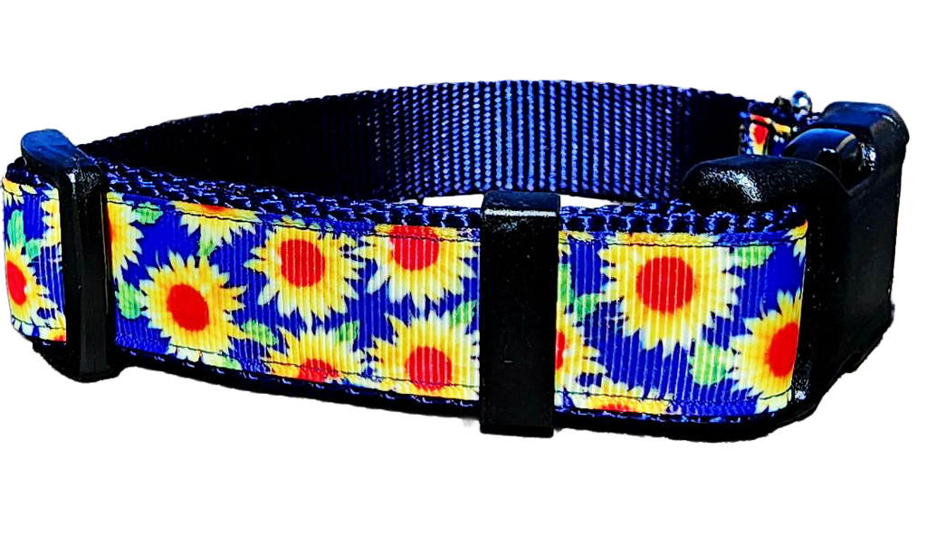 1" Sunflower Dog Collar or Leash