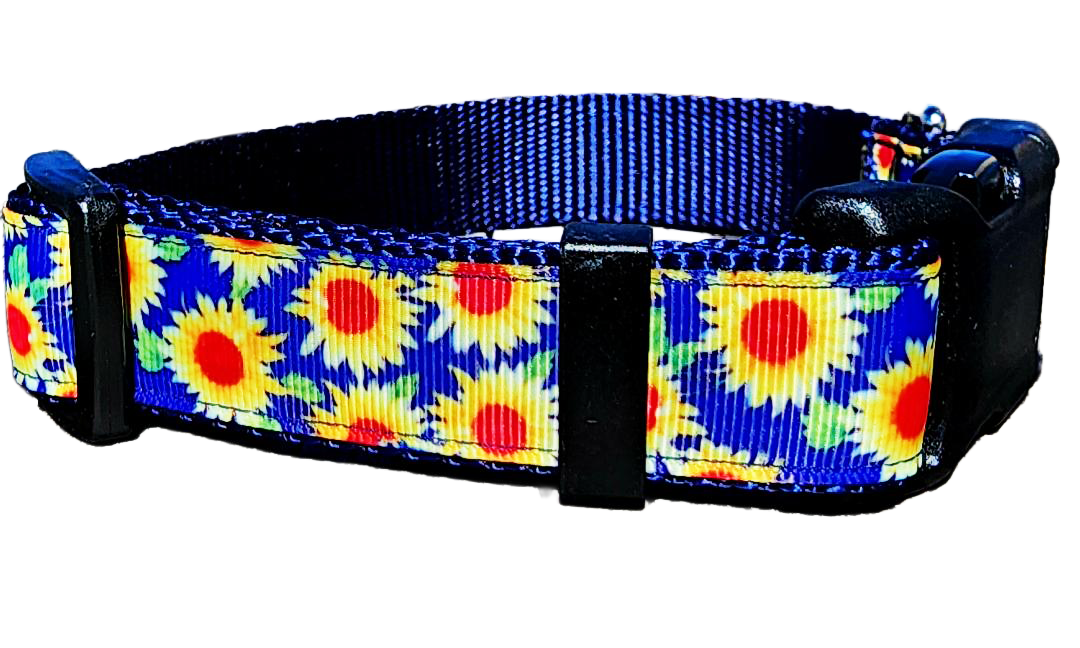 1" Sunflower Dog Collar or Leash