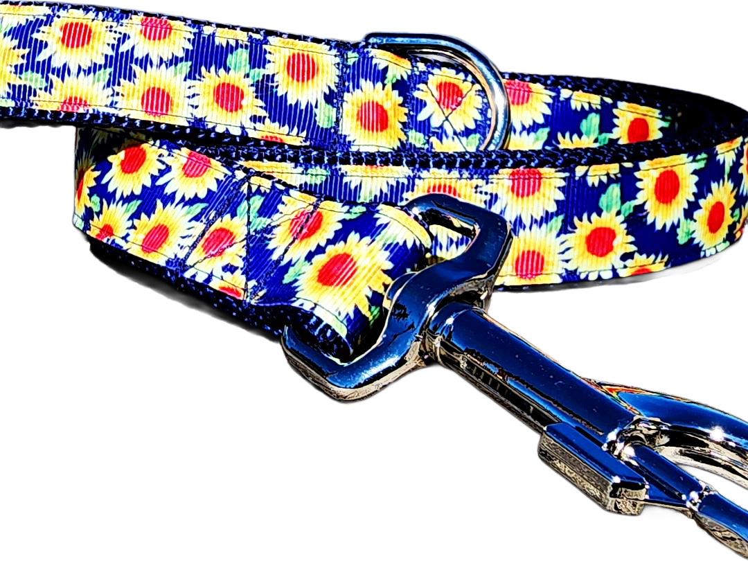 1" Sunflower Dog Collar or Leash