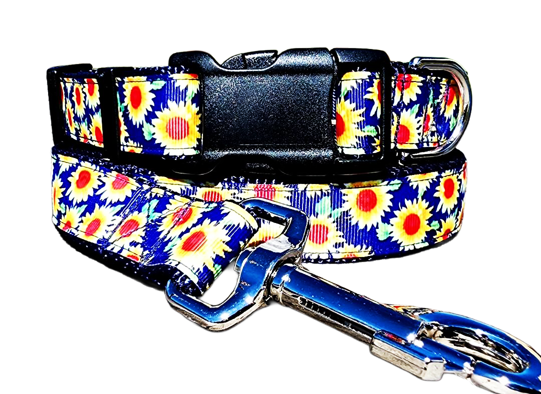 1" Sunflower Dog Collar or Leash