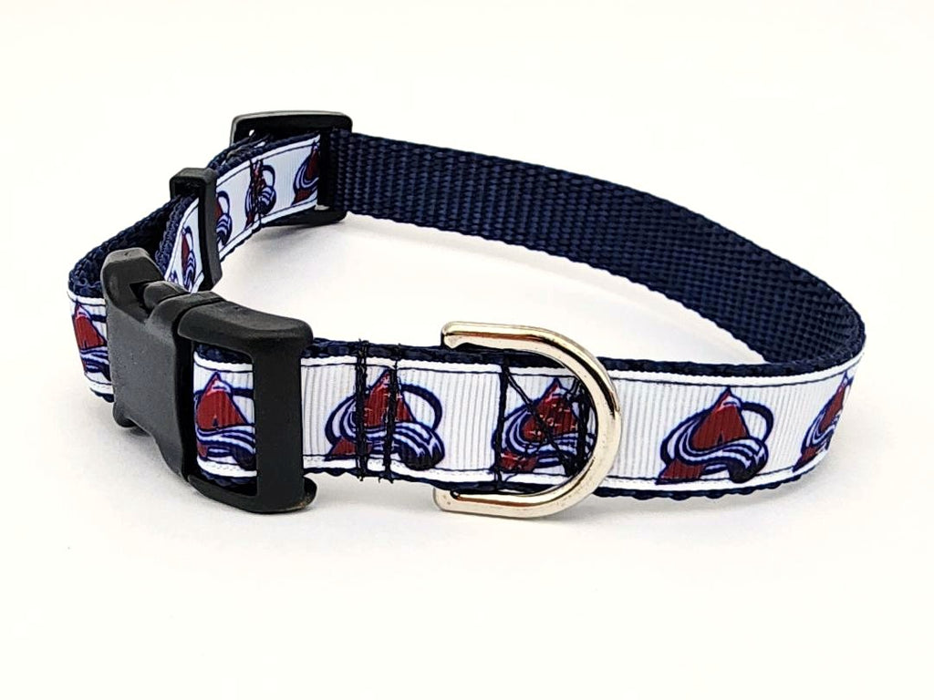 3/4" Avalanche Dog Collar, Leash, or Martingale image 3