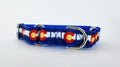 1" Blue Colorado Martingale Dog Collar image 1
