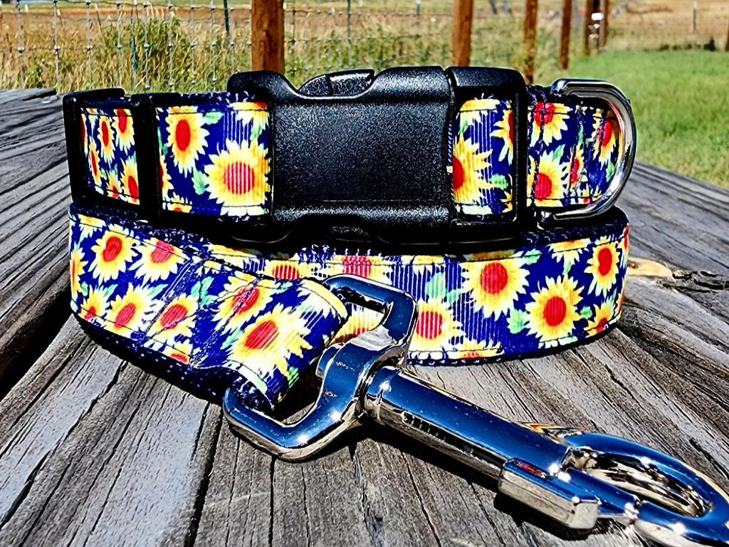 1" Sunflower Dog Collar or Leash image 1