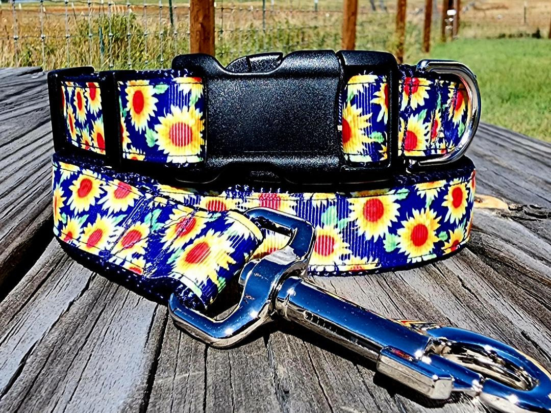 1" Sunflower Dog Collar or Leash image 1