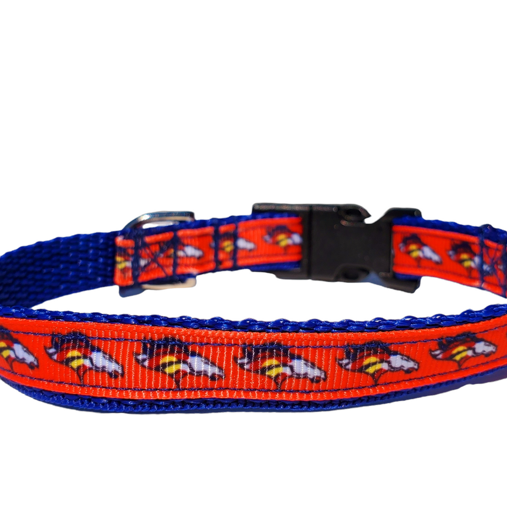 1/2" Denver Broncos Dog Collar, Leash, or Harness image 1