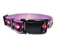 1" Purple Colorado Dog Collar or Leash image 4