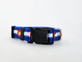1" Blue Colorado Dog Collar or Leash 