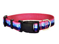 1" Mountain Dog Collar, Leash, Martingale, or Harness image 1