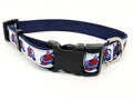 3/4" Avalanche Dog Collar, Leash, or Martingale image 0