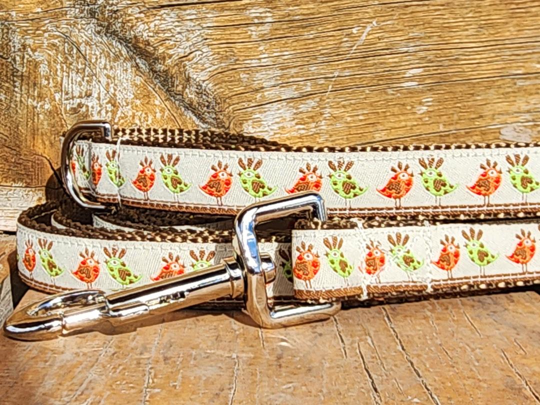 3/4" Bird Spring Dog Collar, Leash, Martingale, or Harness image 3