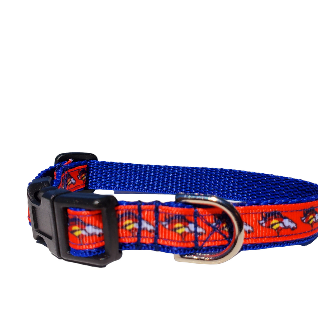 1/2" Denver Broncos Dog Collar, Leash, or Harness image 4