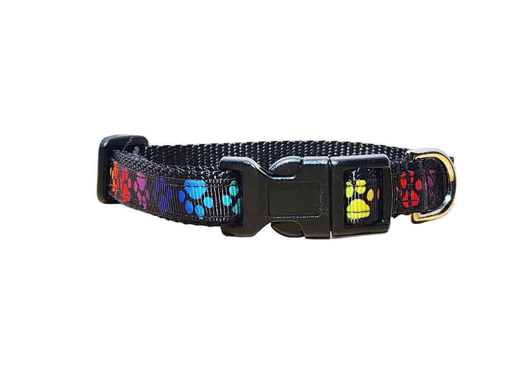 1/2" Paw Print Dog Collar or Leash