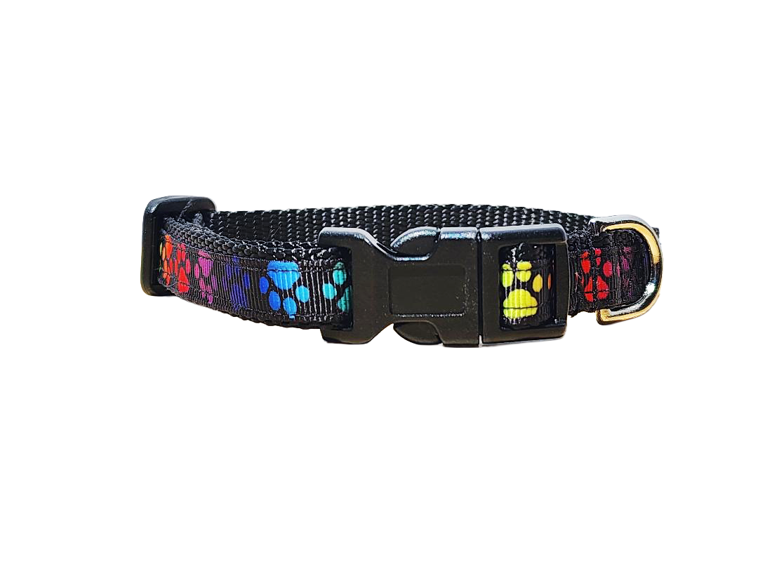 1/2" Paw Print Dog Collar or Leash