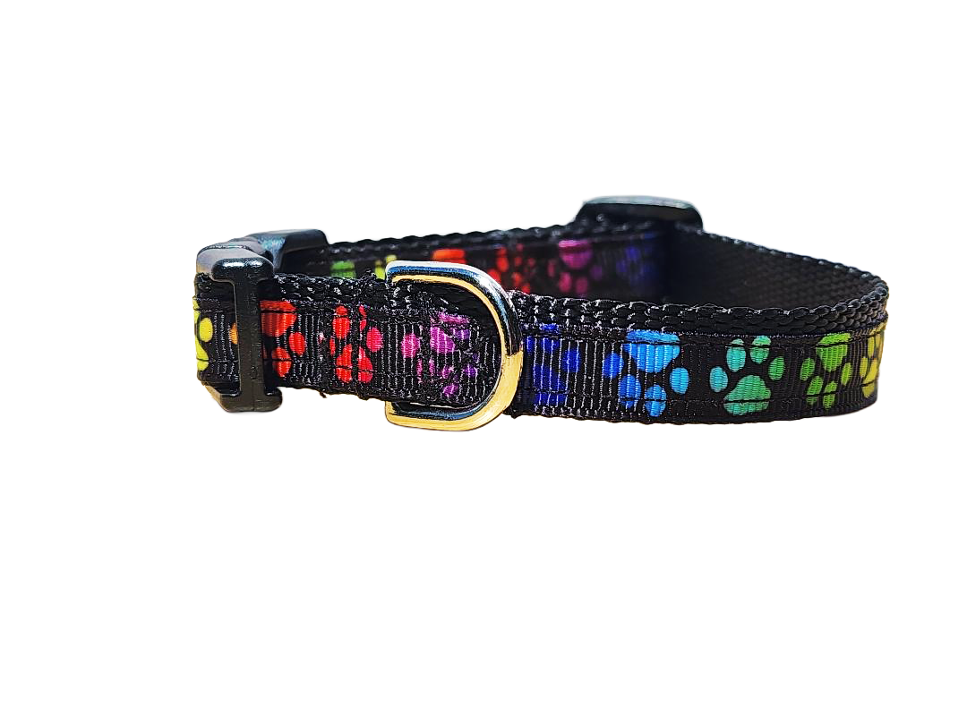 1/2" Paw Print Dog Collar or Leash