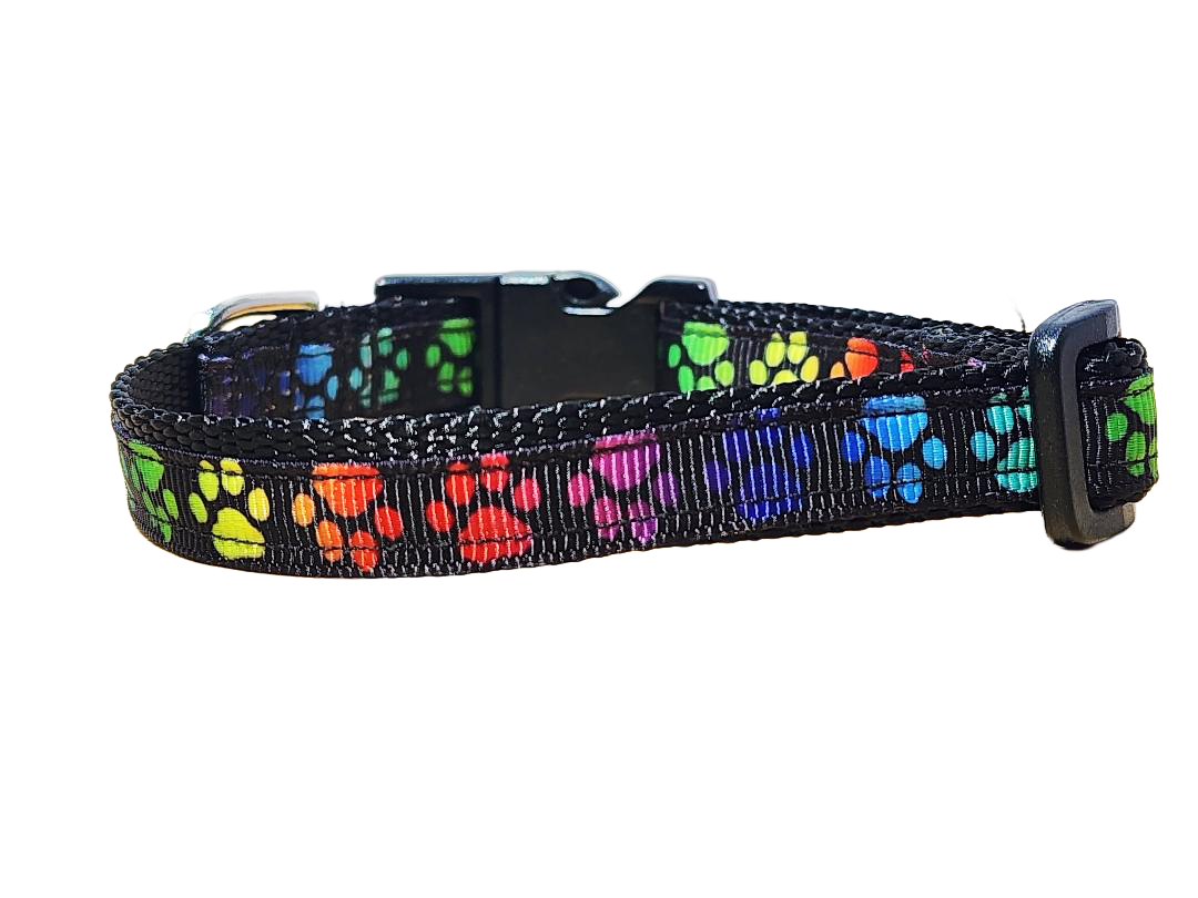 1/2" Paw Print Dog Collar or Leash
