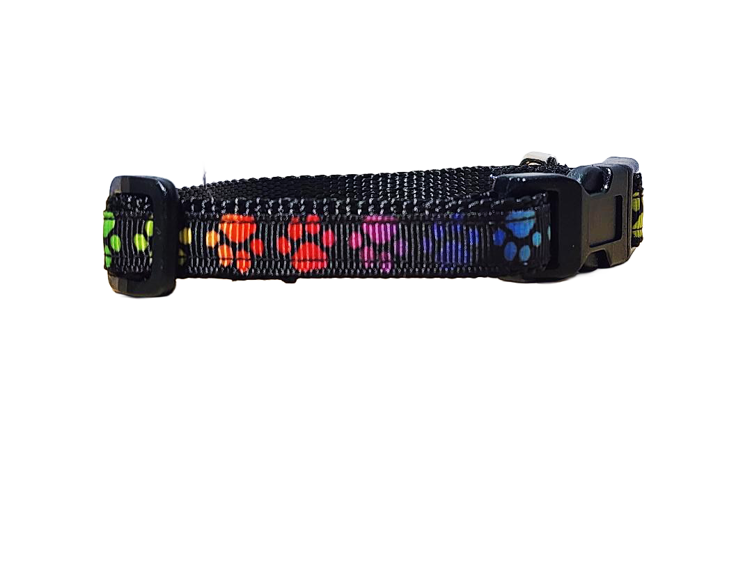 1/2" Paw Print Dog Collar or Leash