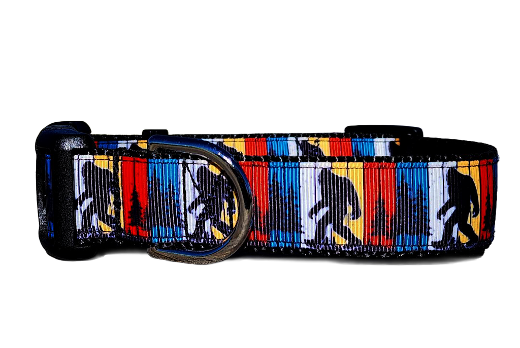 1" Big Foot Dog Collar, Leash or Martingale