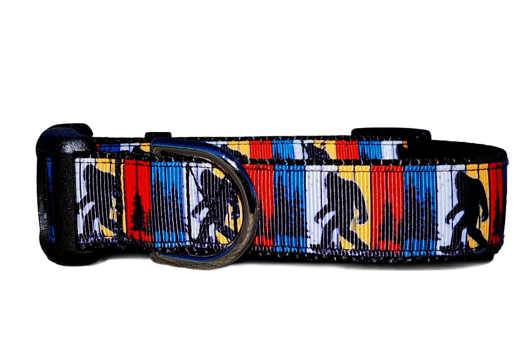 1" Big Foot Dog Collar, Leash or Martingale