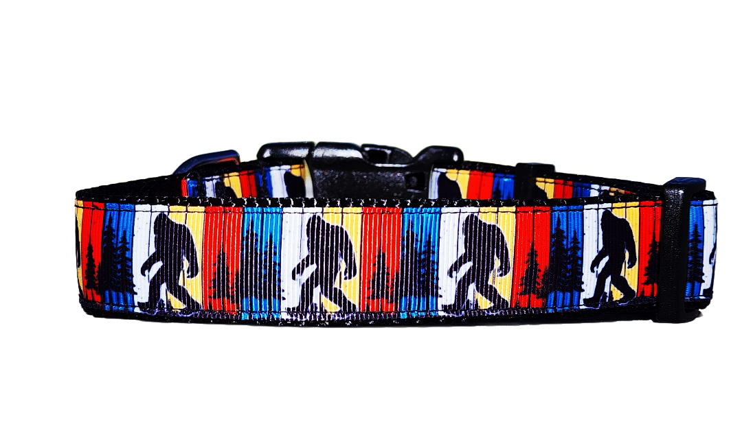 1" Big Foot Dog Collar, Leash or Martingale