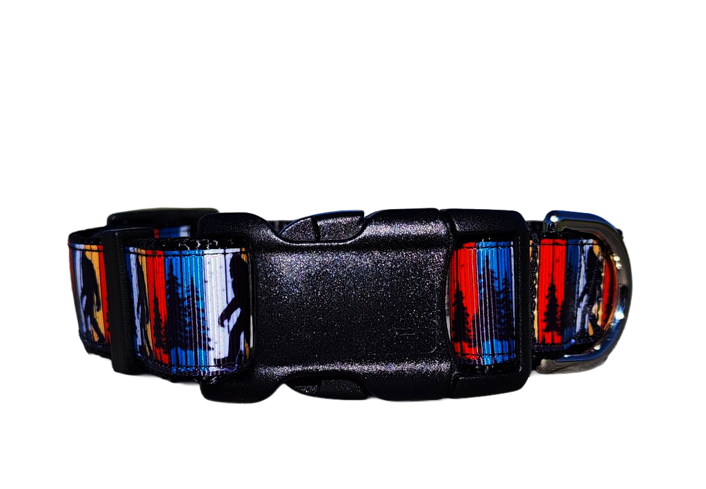 1" Big Foot Dog Collar, Leash or Martingale