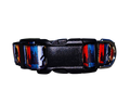 1" Big Foot Dog Collar, Leash or Martingale