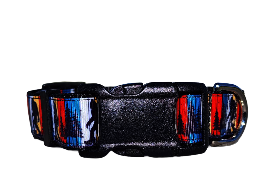 1" Big Foot Dog Collar, Leash or Martingale