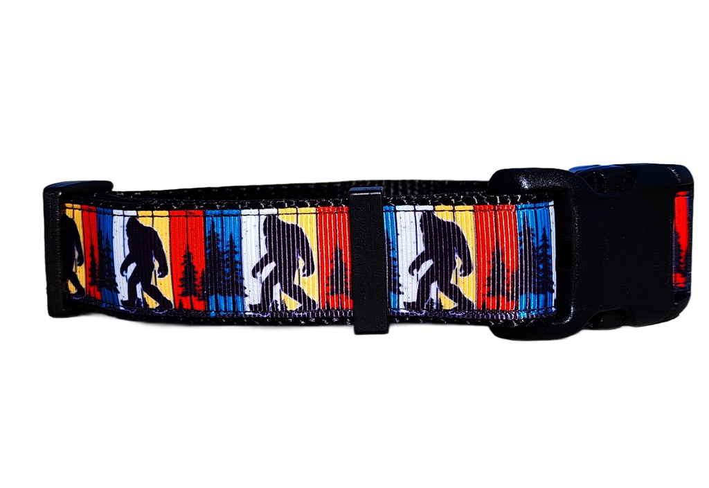 1" Big Foot Dog Collar, Leash or Martingale