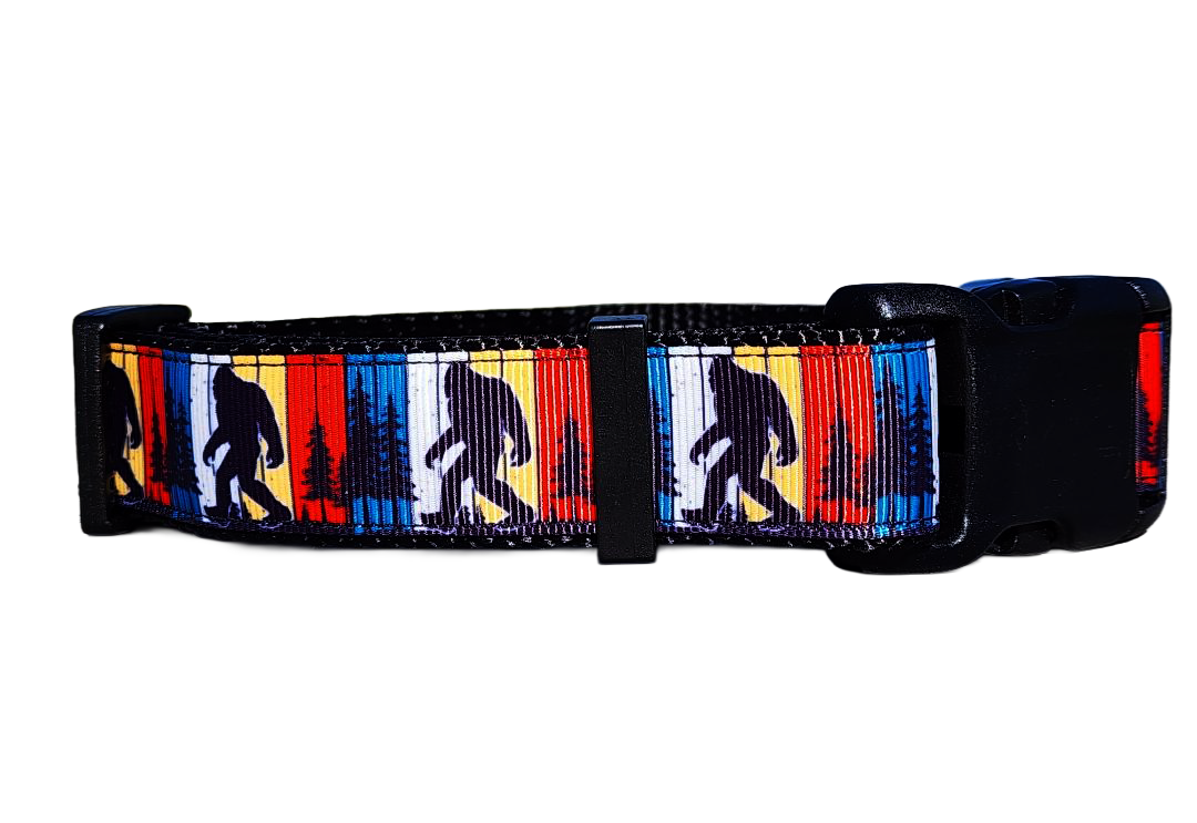 1" Big Foot Dog Collar, Leash or Martingale