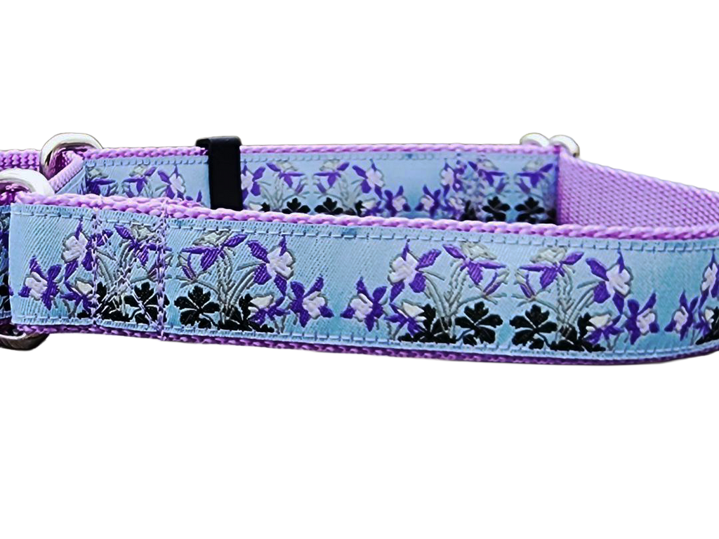 1" Columbine Colorado Dog Martingale Collar
