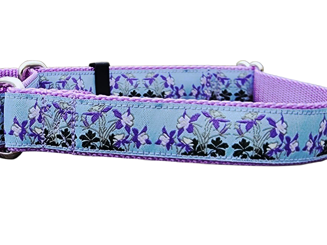 1" Columbine Colorado Dog Martingale Collar