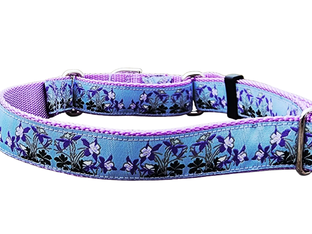 1" Columbine Colorado Dog Martingale Collar