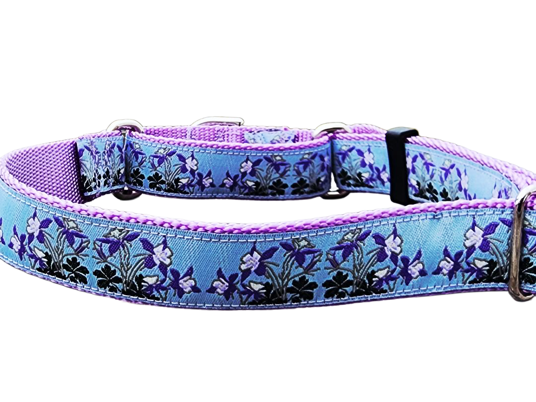 1" Columbine Colorado Dog Martingale Collar