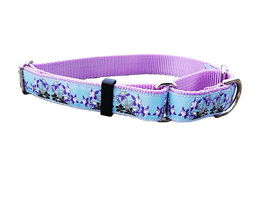 1" Columbine Colorado Dog Martingale Collar