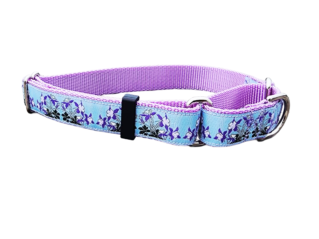 1" Columbine Colorado Dog Martingale Collar