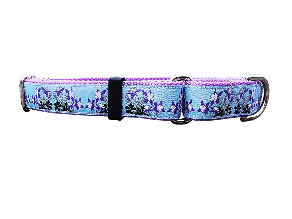 1" Columbine Colorado Dog Martingale Collar