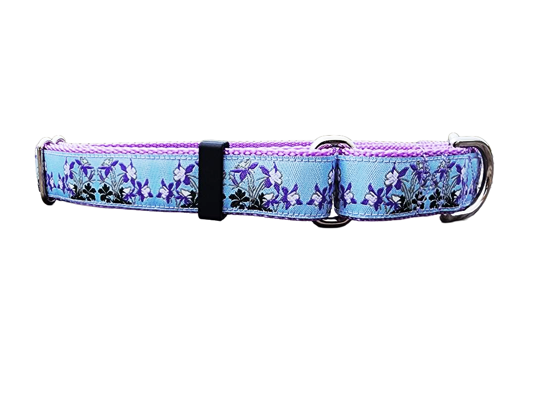1" Columbine Colorado Dog Martingale Collar