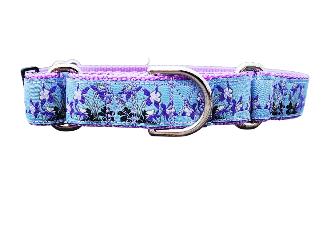 1" Columbine Colorado Dog Martingale Collar