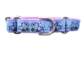 1" Columbine Colorado Dog Martingale Collar